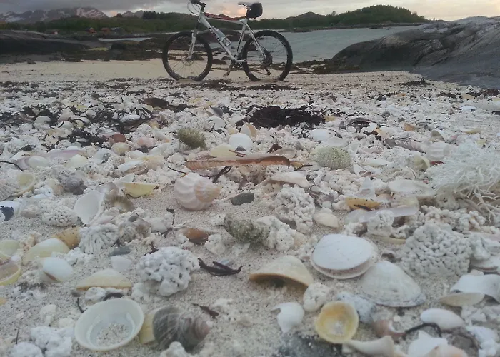 Kjerringoy Bryggehotell Bodø